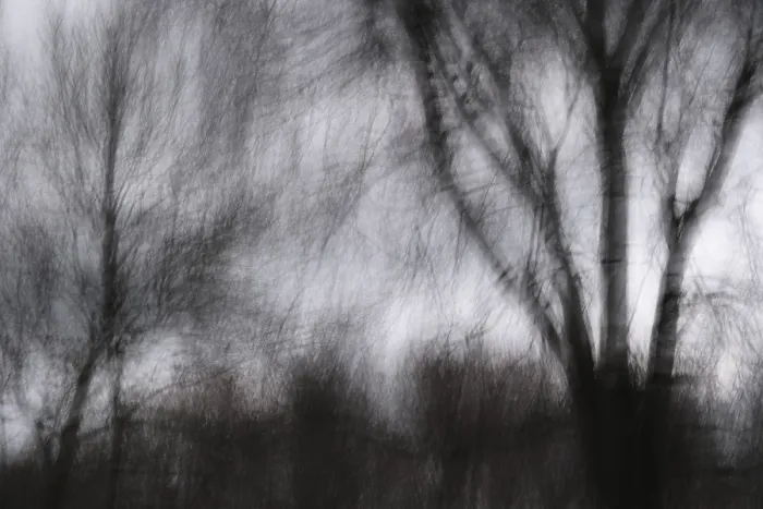 Framed Print : Winter forest, blurred, long exposure Framed Print : Winter forest, blurred, long exposure