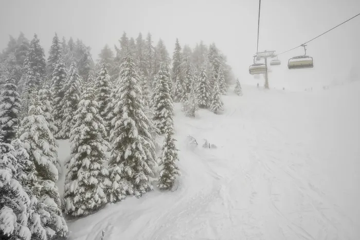 Framed Print : Winter forest and chairlift in snowfall at alpine ski resort Framed Print : Winter forest and chairlift in snowfall at alpine ski resort