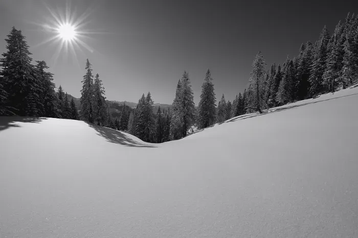 Framed Print : Winter forest with mountain range in backlight