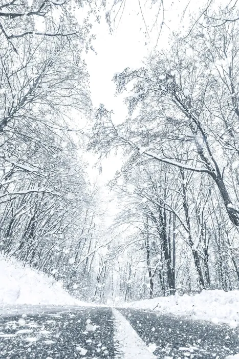 Framed Print : Winter forest snow road. Forest road winter snow view
