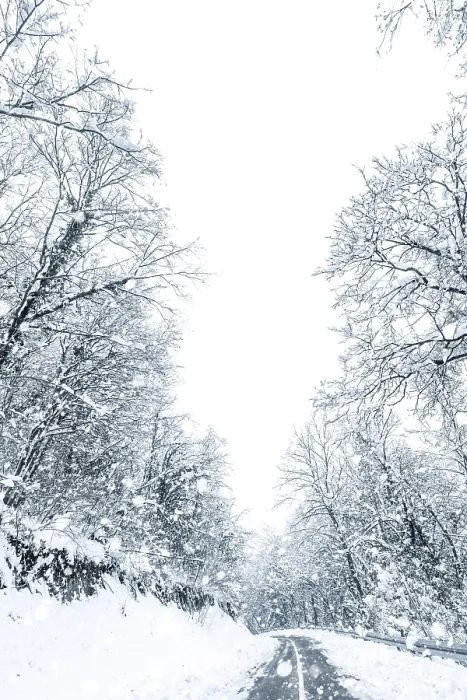 Framed Print : Winter forest snow road. Forest road winter snow view