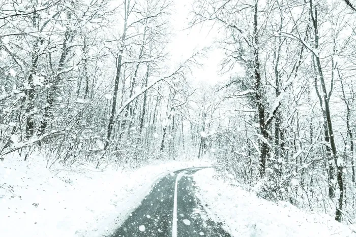 Framed Print : Winter forest snow road. Forest road winter snow view