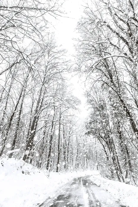 Framed Print : Winter forest snow road. Forest road winter snow view