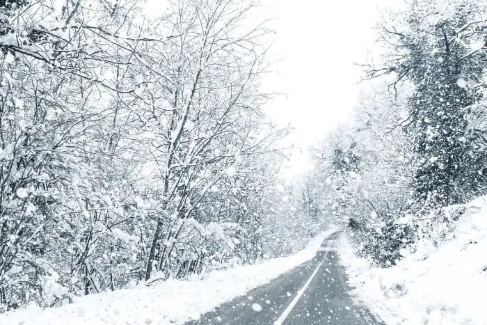 Framed Print : Winter forest snow road. Forest road winter snow view
