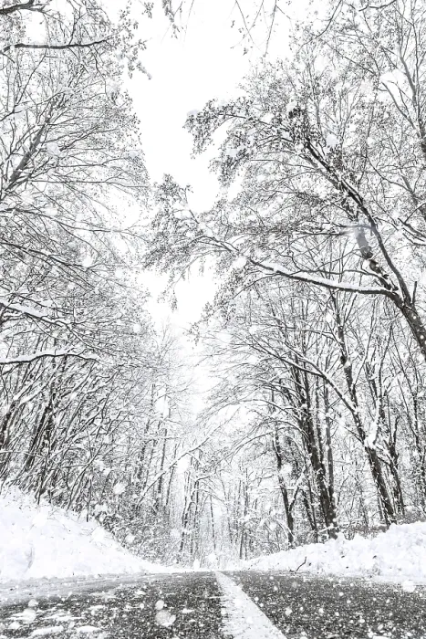 Framed Print : Winter forest snow road. Forest road winter snow view