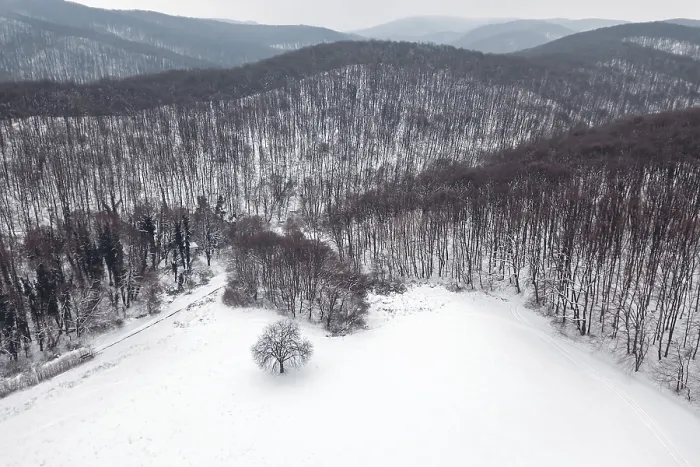 Framed Print : Winter forest Top view. Snowy winter forest aerial Framed Print : Winter forest Top view. Snowy winter forest aerial