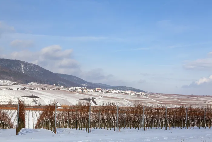 Framed Print : Winter on the German Wine Route