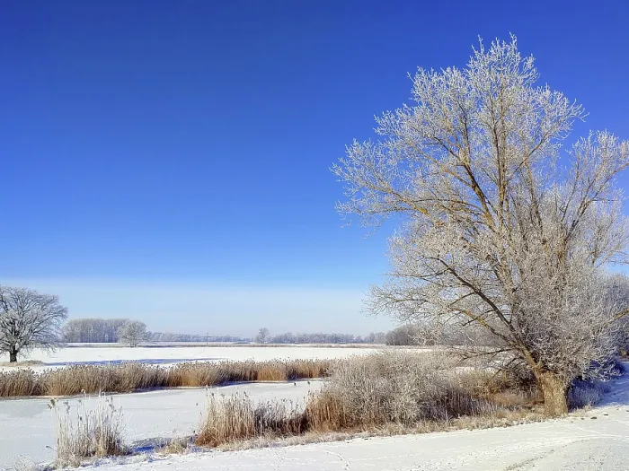 Framed Print : Winter in heavy frost through the Elbe valley