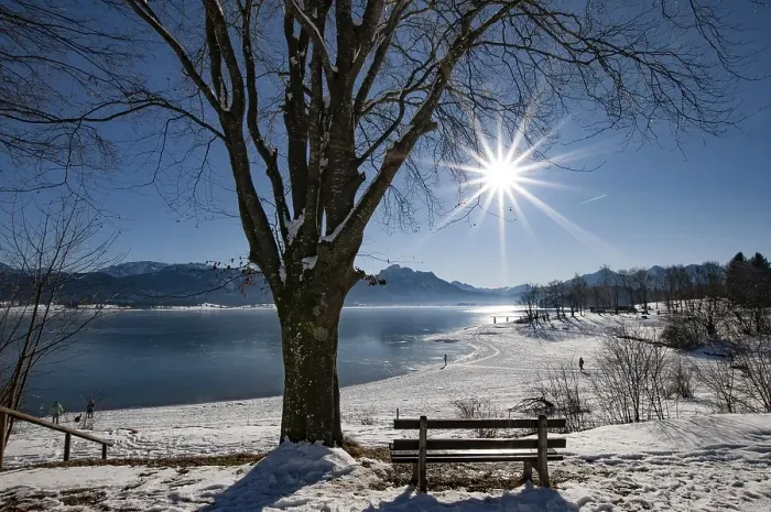 Framed Print : Winter idyll on Lake Forggensee in the Allgaeu Framed Print : Winter idyll on Lake Forggensee in the Allgaeu