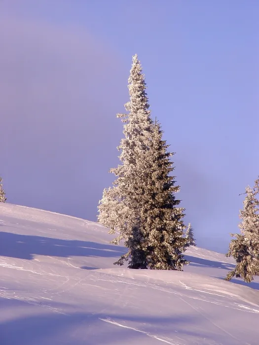 Framed Print : Winter landscape Framed Print : Winter landscape