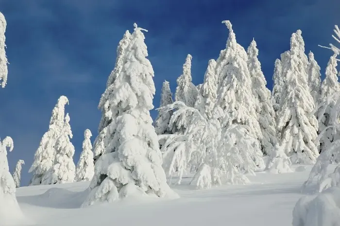 Framed Print : Winter landscape at Almkogel Mountain