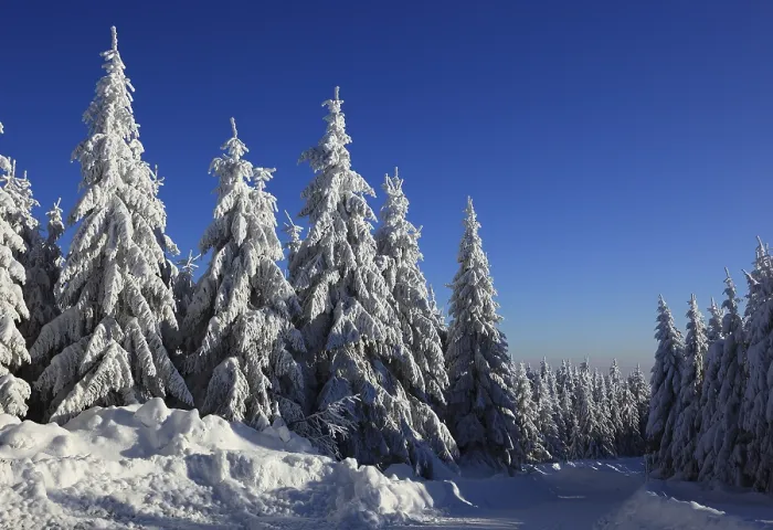 Framed Print : Winter landscape in the Fichtelgebirge