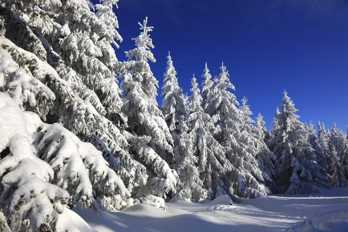 Framed Print : Winter landscape in the Fichtelgebirge Framed Print : Winter landscape in the Fichtelgebirge