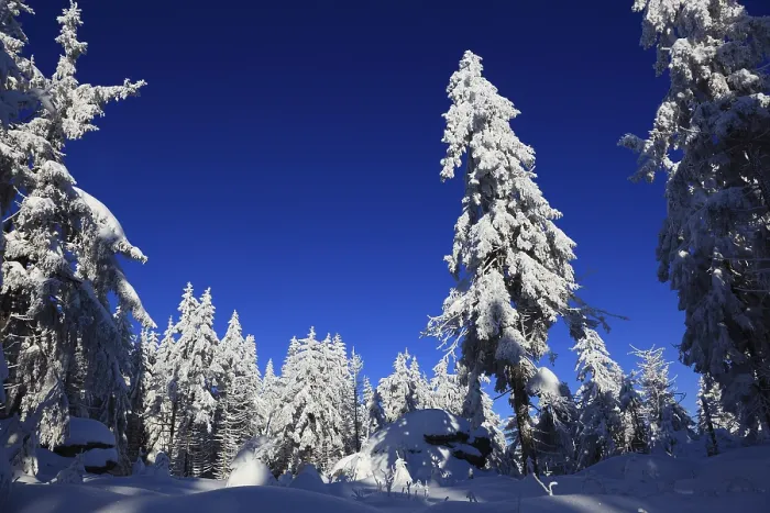 Framed Print : Winter landscape in the Fichtelgebirge Framed Print : Winter landscape in the Fichtelgebirge