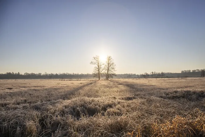 Framed Print : Winter landscape in frost at sunrise