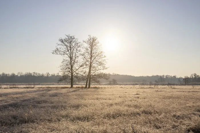 Framed Print : Winter landscape in frost at sunrise