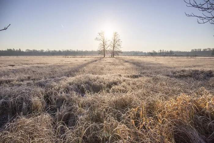 Framed Print : Winter landscape in frost at sunrise
