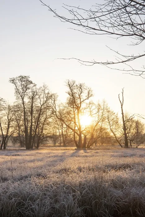 Framed Print : Winter landscape in frost at sunrise