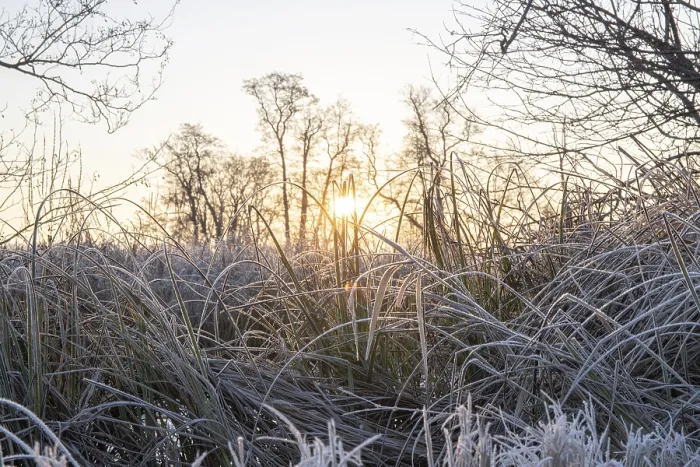 Framed Print : Winter landscape in frost at sunrise