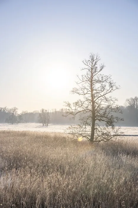Framed Print : Winter landscape in frost at sunrise