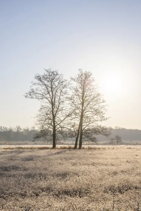 Framed Print : Winter landscape in frost at sunrise Framed Print : Winter landscape in frost at sunrise