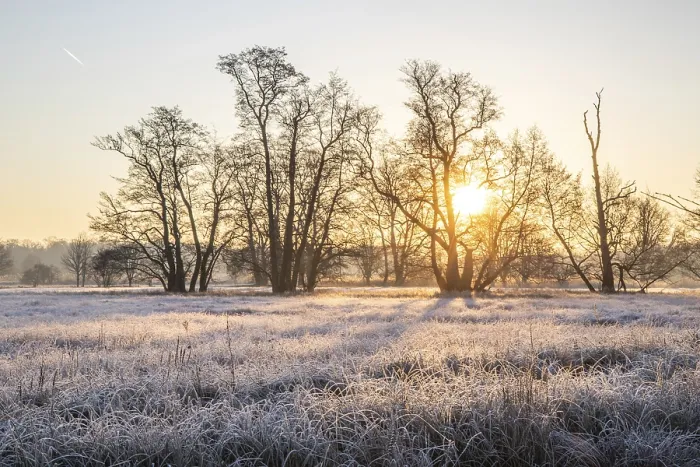 Framed Print : Winter landscape in frost at sunrise