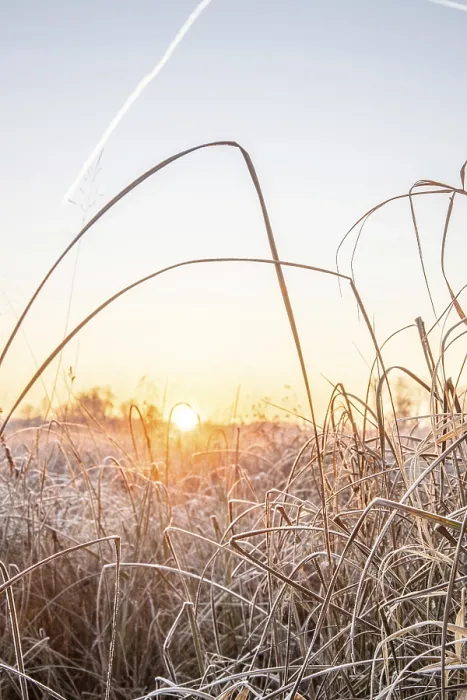 Framed Print : Winter landscape with frost at sunrise