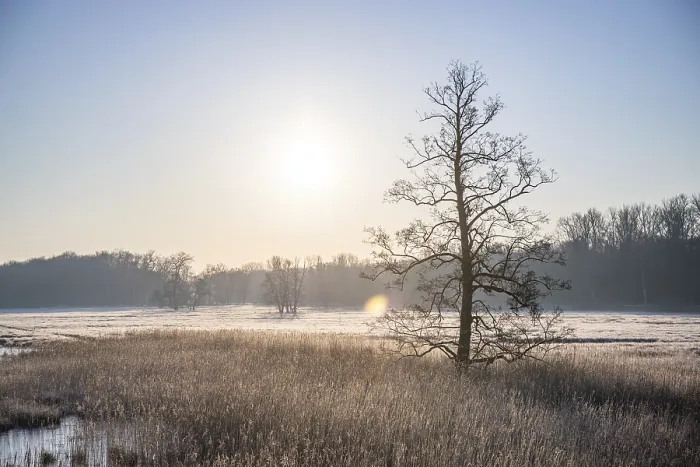 Framed Print : Winter landscape in frost at sunrise