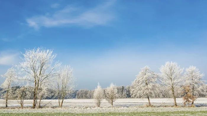 Framed Print : Winter landscape. Frost on trees and grass