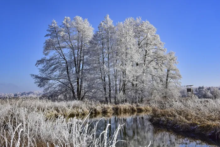 Framed Print : Winter landscape in hoarfrost with trees and river in the Augsburg Western Forests nature park Park