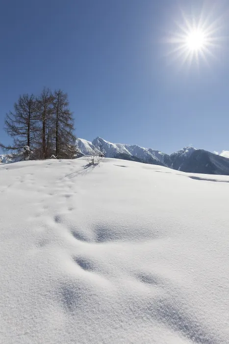 Framed Print : Winter landscape, Karwendel Mountains Framed Print : Winter landscape, Karwendel Mountains