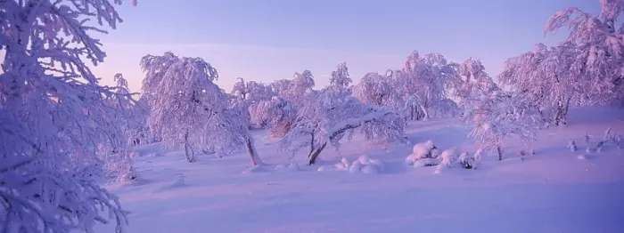 Framed Print : Winter landscape, Lappland