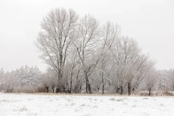 Framed Print : Winter landscape on the Lower Rhine Framed Print : Winter landscape on the Lower Rhine