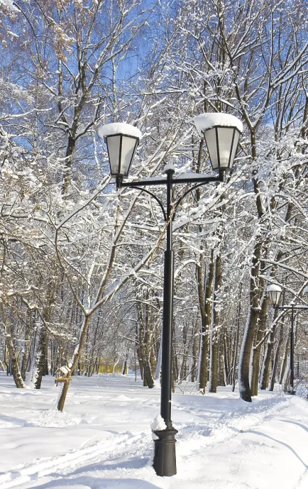 Framed Print : Winter landscape, park with trees in slow and street lamp on sunny day with blue sky