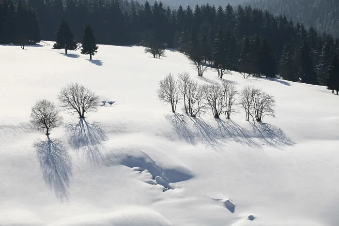 Framed Print : Winter landscape in the Thuringian Forest near Stutzerbach