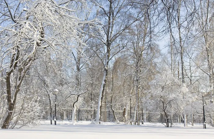 Framed Print : Winter landscape, trees covered with snow in park in sunny day
