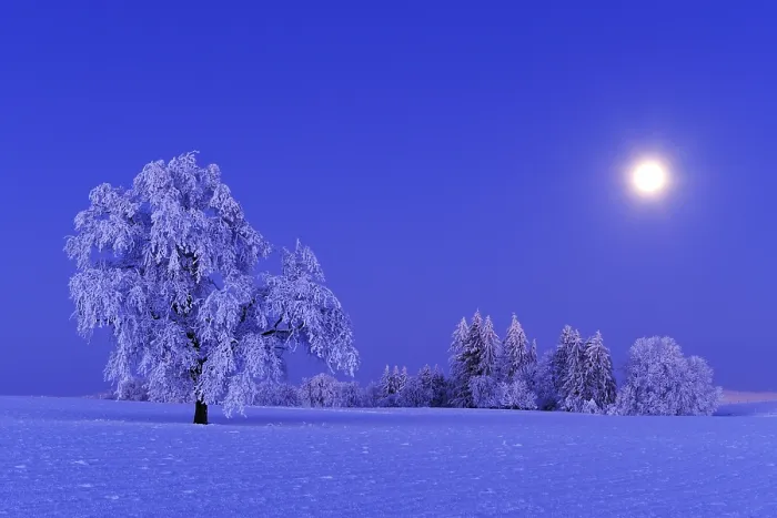 Framed Print : Winter landscape with white frost by the light of a full moon Framed Print : Winter landscape with white frost by the light of a full moon