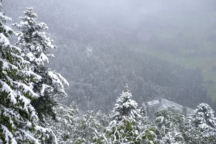 Framed Print : Winter onset, mountains, trees