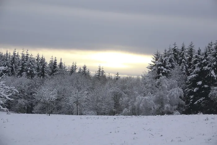 Framed Print : Winter on the Riedelbacher Heide