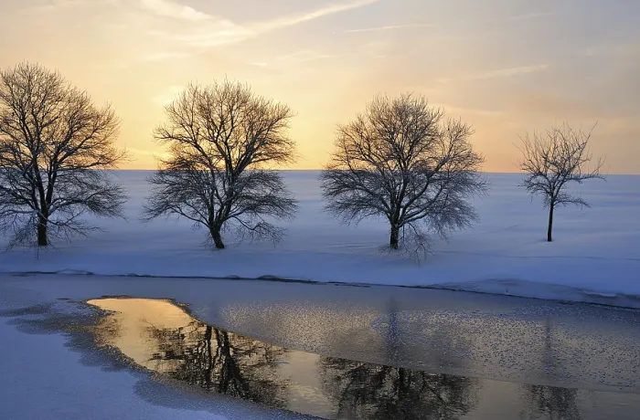 Framed Print : Winter, in the setting sun backlighting