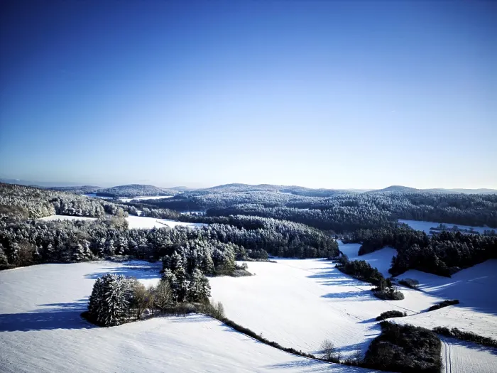 Framed Print : Winter, snow, forest, trees, drone Framed Print : Winter, snow, forest, trees, drone