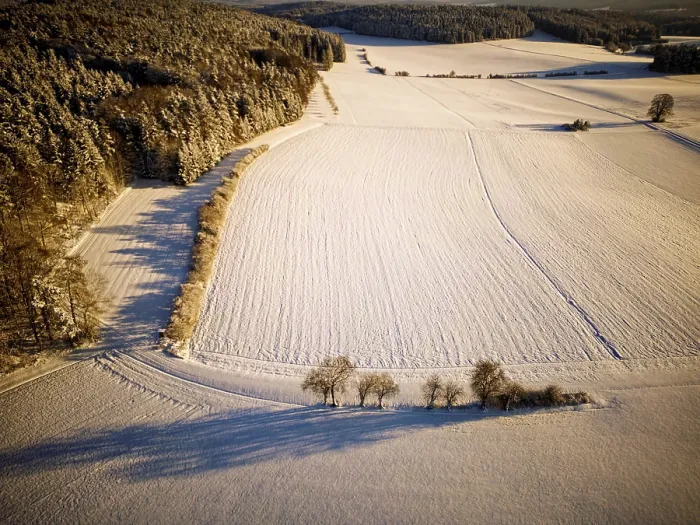 Framed Print : Winter, snow, forest, trees, drone