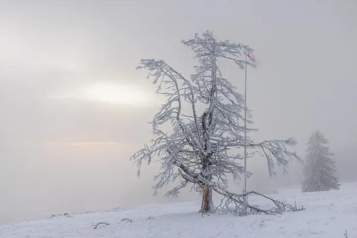 Framed Print : Winter sunset on the mountain with hoarfrost on the trees and fog