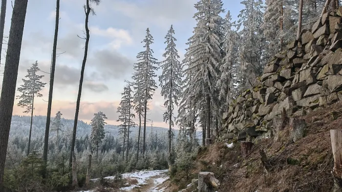 Framed Print : Wintery forest with snow-covered trees and rock formations under cloudy sky