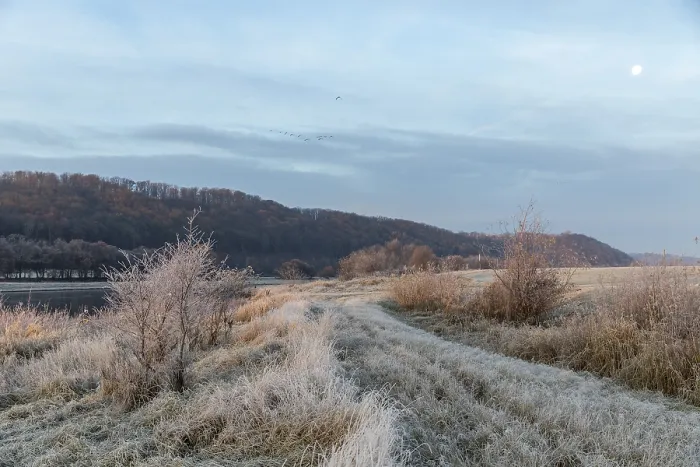 Framed Print : Wintery morning mood, Elbe meadows with hoarfrost