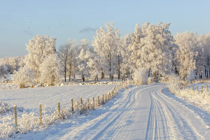 Framed Print : Wintry landscape with a dirt road and a birch grove