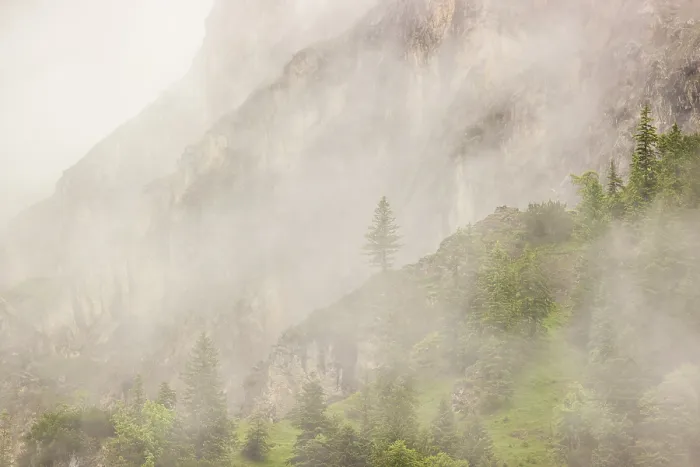 Framed Print : Wisps of mist cover the Karwendel mountains in the Grosser Ahornboden nature reserve Framed Print : Wisps of mist cover the Karwendel mountains in the Grosser Ahornboden nature reserve