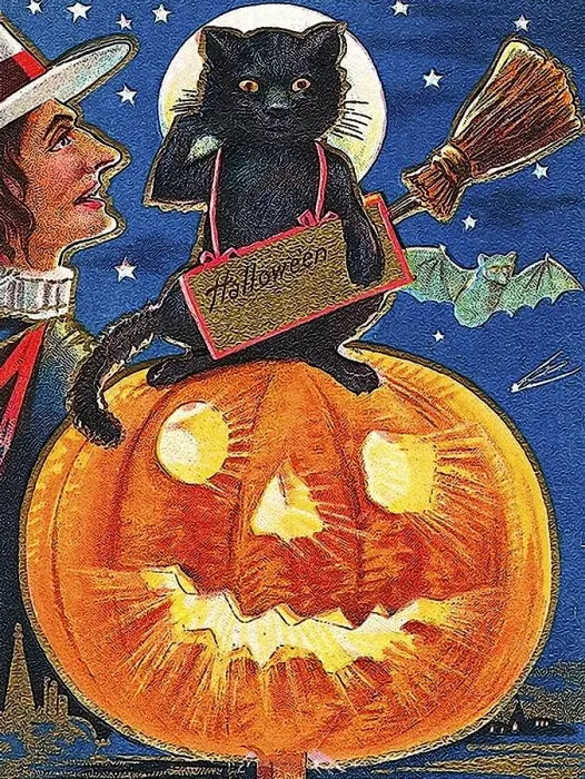 Framed Print : Witch and black cat sitting on a carved pumpkin or Jack-o-lantern Framed Print : Witch and black cat sitting on a carved pumpkin or Jack-o-lantern
