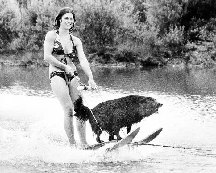 Framed Print : Woman with dog rides water ski