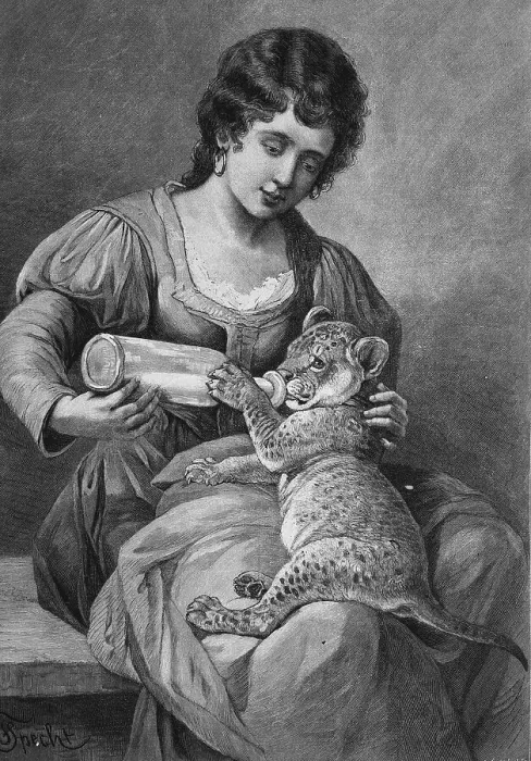 Framed Print : Woman feeding baby lion with a bottle Framed Print : Woman feeding baby lion with a bottle